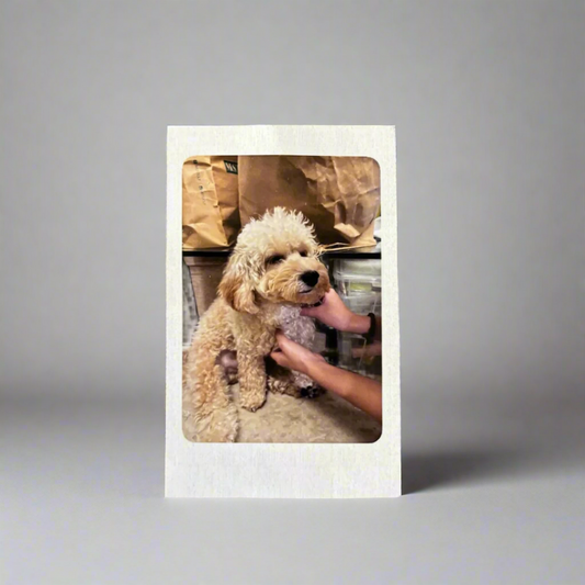 Polaroid Print Add-On