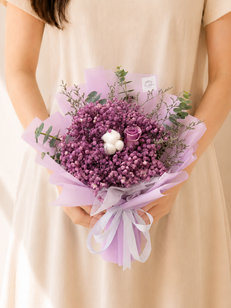Aster Purple*