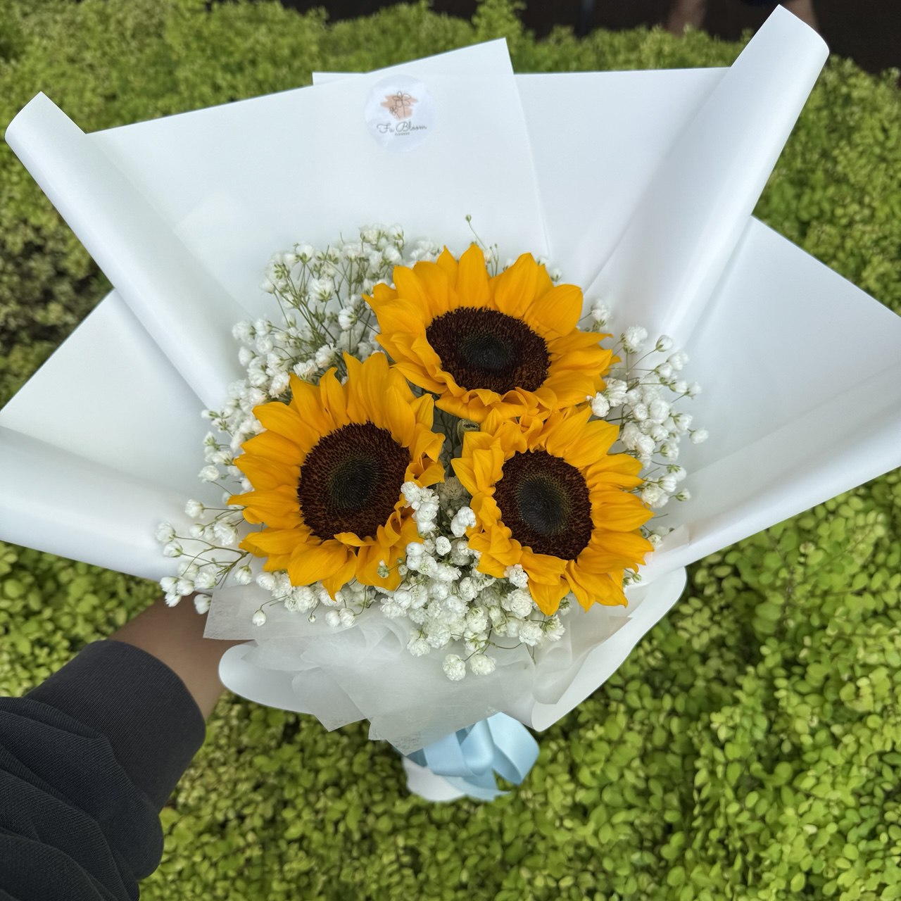 3 Sunflower & Baby's Breath Bouquet