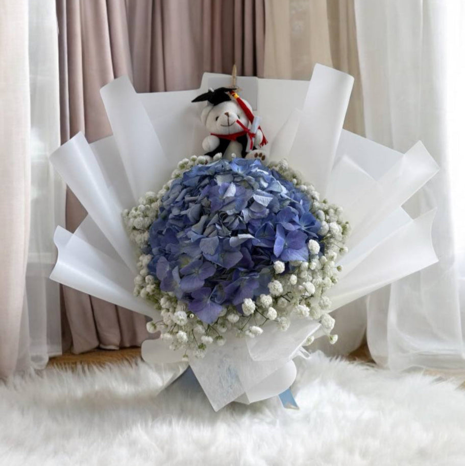 Dark blue hydrangea graduation bouquet with teddy bear Singapore