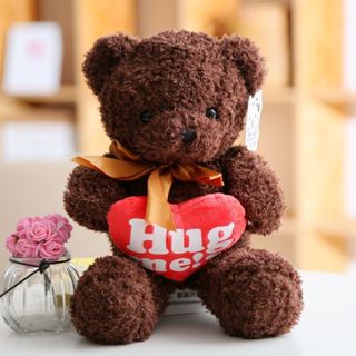 Hug Me Brown Bear 40cm