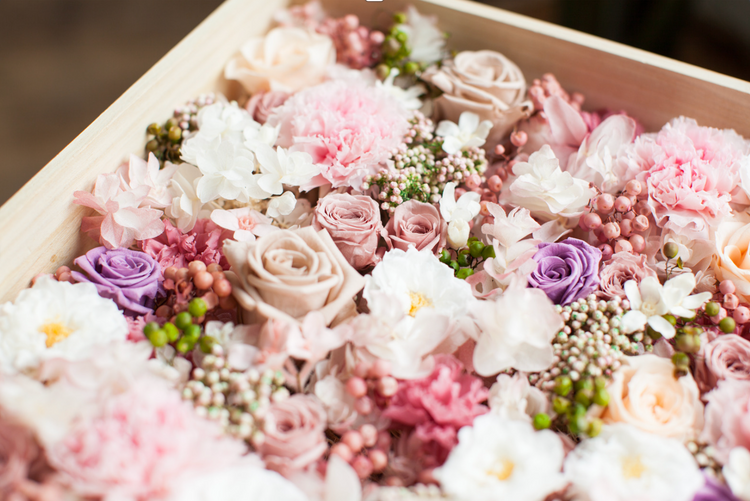 Preserved Flowers