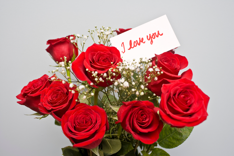 Valentine's Day 2025 ♡