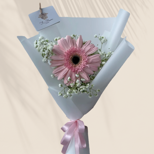 Single Stalk Gerbera & Baby's Breath Bouquet