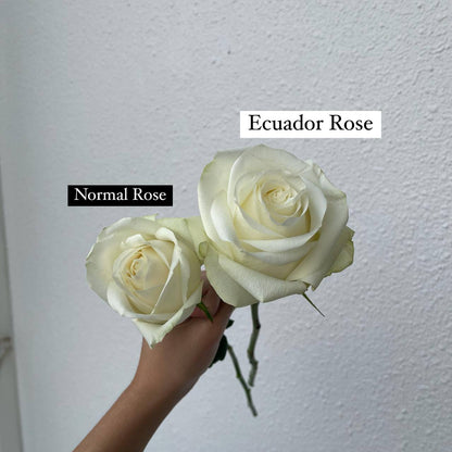 Single Stalk Premium Ecuador Roses (min. 10 Stalks)