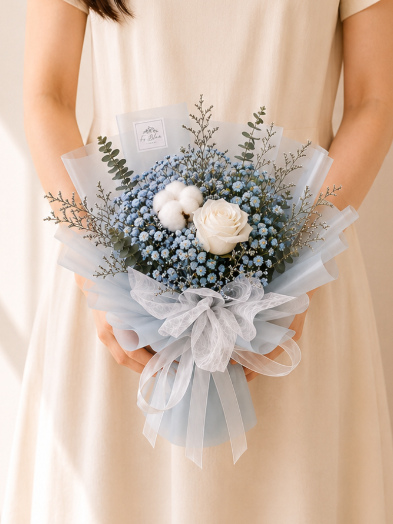 Aster Blue*