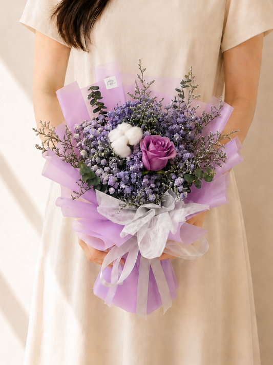 Aster Purple