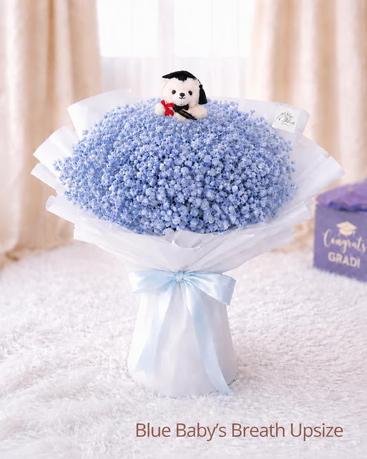 [GRAD] Blue Baby's Breath Bouquet