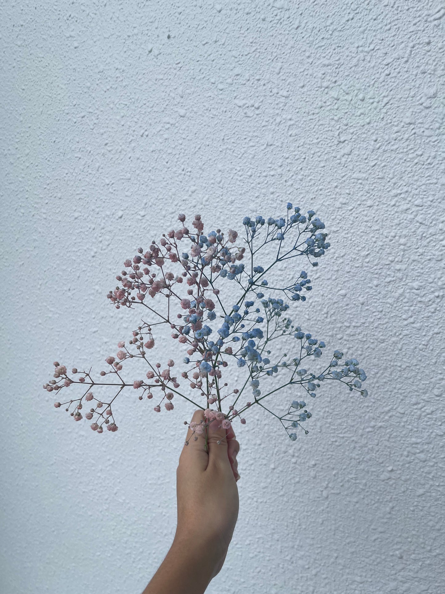 Blue Baby's Breath Bouquet