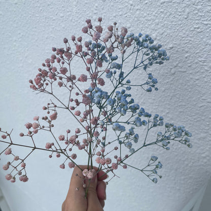 Medium Baby's Breath Bouquet